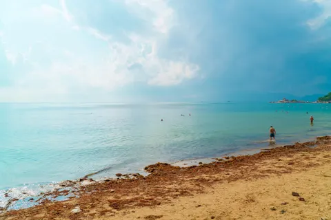خلفية شاطئ استوائي بدقة 4K · ocean · 3840×2560