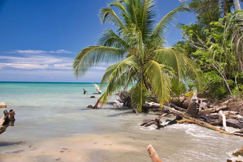 Tapeta Tropikalna Plaża 4K · ocean · 3840×2560