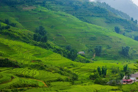Rice Terraces 4K Wallpaper · nature · 3840×2563