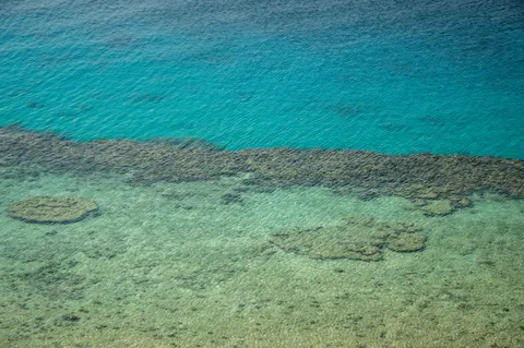 Fond d'écran Récif corallien 4K · ocean · 3840×2553