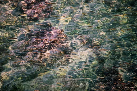 Fond d'écran Récif corallien 4K · ocean · 3840×2560