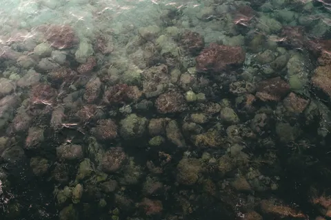 Fond d'écran Récif corallien 4K · ocean · 3840×2560