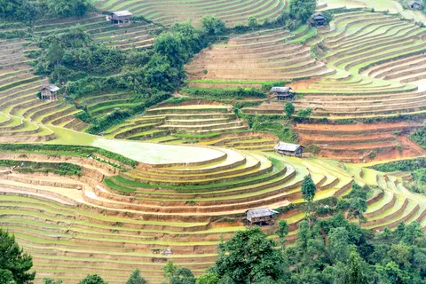 Rice Terraces 4K Wallpaper · nature · 3840×2560