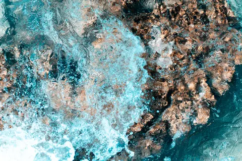 Fond d'écran Récif corallien 4K · ocean · 3840×2555