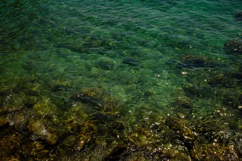 Обои Коралловый риф 4K · ocean · 3840×2560