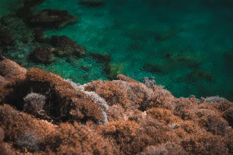 Fondo de pantalla Arrecife de coral 4K · ocean · 3840×2560
