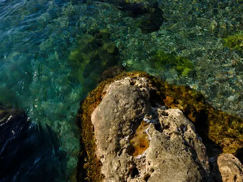 Fondo de pantalla Arrecife de coral 4K · ocean · 3840×2880