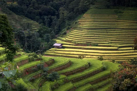 Rice Terraces 4K Wallpaper · nature · 3840×2561