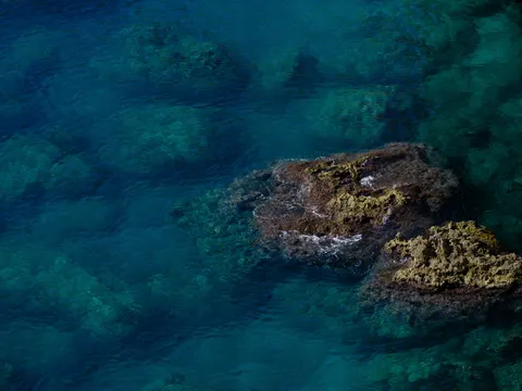 산호초 4K 배경화면 · ocean · 3840×2880