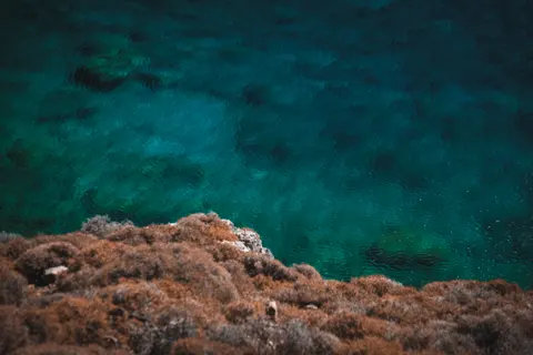 Papel de parede Recife de coral 4K · ocean · 3840×2560