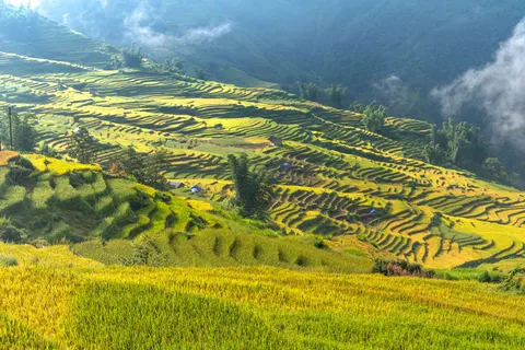 Rice Terraces 4K Wallpaper · nature · 3840×2561