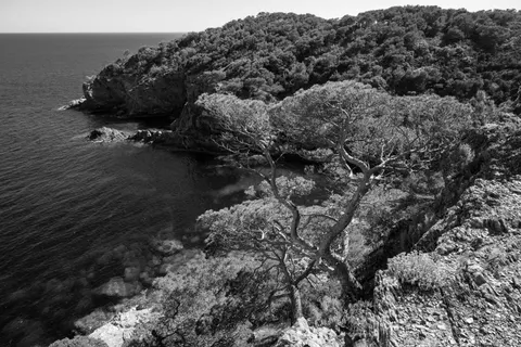 Fondo de pantalla Acantilado del océano 4K · ocean · 3840×2560