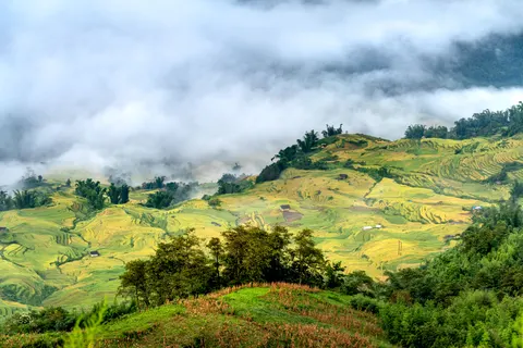 Rice Terraces 4K Wallpaper · nature · 3840×2561