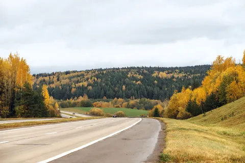 Sfondo Foresta Autunnale 4K · nature · 3840×2563