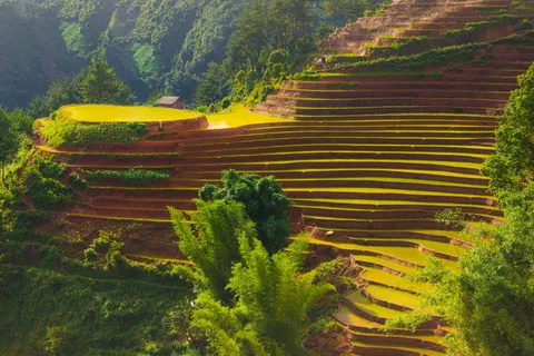 Rice Terraces 4K Wallpaper · nature · 3840×2563