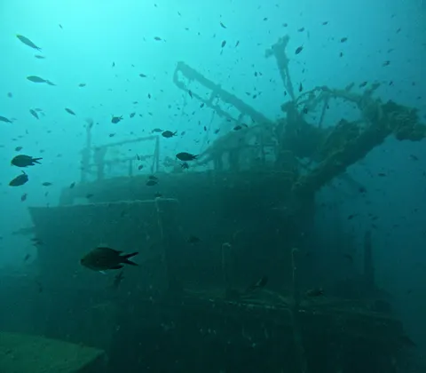 Обои Коралловый риф 4K · ocean · 3840×3360