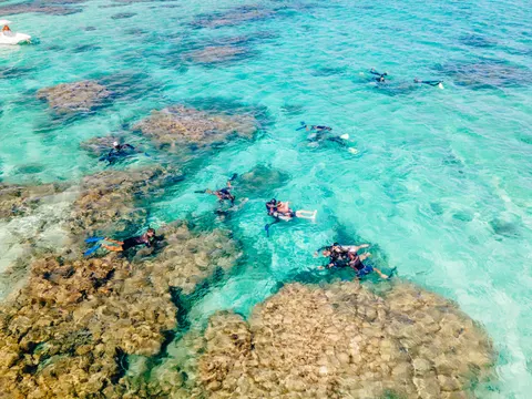 산호초 4K 배경화면 · ocean · 3840×2880