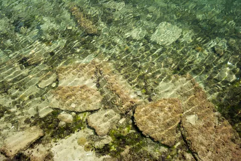 خلفية الشعاب المرجانية بدقة 4K · ocean · 3840×2560