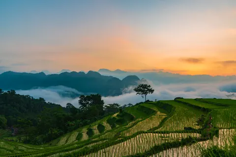 Rice Terraces 4K Wallpaper · nature · 3840×2560