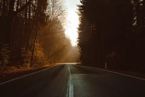 Herbstwald 4K Hintergrundbild · nature · 3840×2560