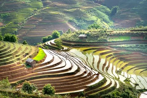 Rice Terraces 4K Wallpaper · nature · 3840×2560