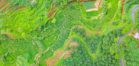 계단식 논 4K 배경화면 · nature · 3840×1826