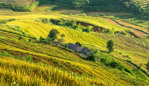 Rice Terraces 4K Wallpaper · nature · 3840×2235