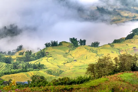 Rice Terraces 4K Wallpaper · nature · 3840×2561