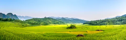 خلفية مدرجات الأرز بدقة 4K · nature · 3840×1242