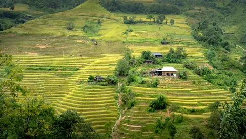 Rice Terraces 4K Wallpaper · nature · 3840×2188