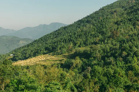 Rice Terraces 4K Wallpaper · nature · 3840×2560