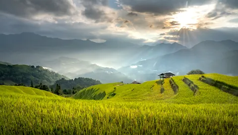 Rice Terraces 4K Wallpaper · nature · 3840×2183