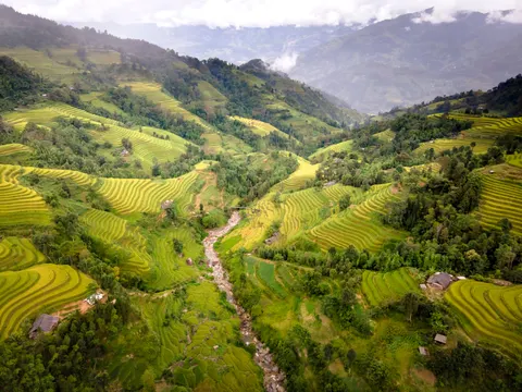 Rice Terraces 4K Wallpaper · nature · 3840×2880