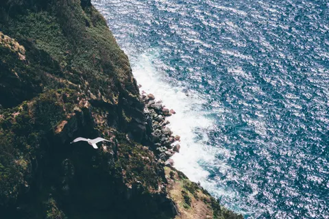 Island Aerial 4K Wallpaper · ocean · 3840×2560