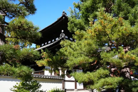 Kyoto 4K Wallpaper · travel · 3840×2560