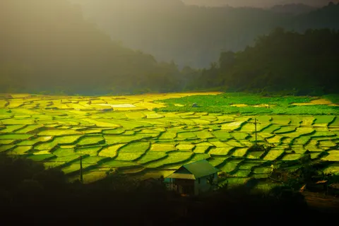 Rice Terraces 4K Wallpaper · nature · 3840×2560