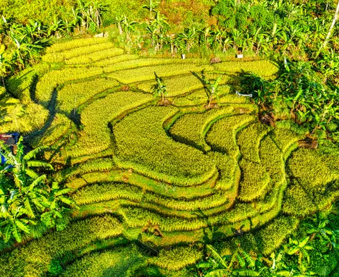 巴厘岛 4K壁纸 · travel · 3840×3146