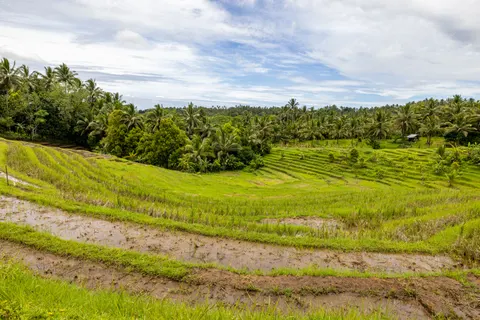 Bali 4K Wallpaper · travel · 3840×2561