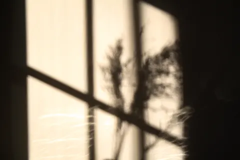 Window Light 4K Wallpaper · minimal · 3840×2560