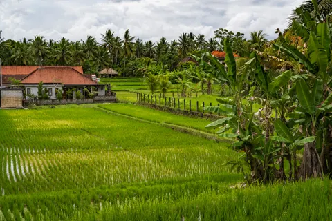 Hình nền Bali 4K · travel · 3840×2560