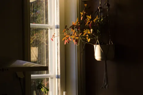 Window Light 4K Wallpaper · minimal · 3840×2561