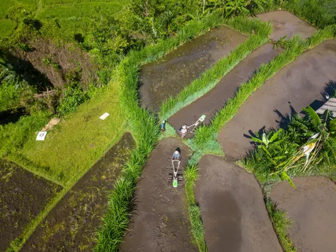 Hình nền Bali 4K · travel · 3840×2880