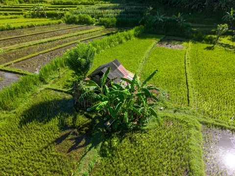 Bali 4K Wallpaper · travel · 3840×2880