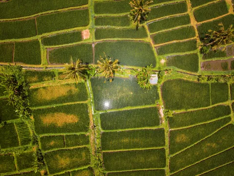 巴厘岛 4K壁纸 · travel · 3840×2880