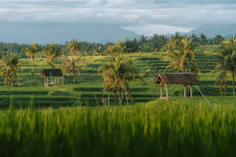 Обои Бали 4K · travel · 3840×2560
