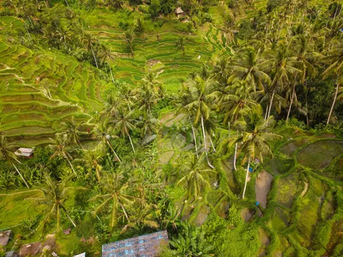 Bali 4K Wallpaper · travel · 3840×2880