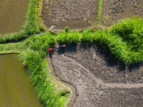 Hình nền Bali 4K · travel · 3840×2880
