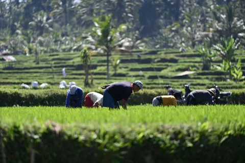 Hình nền Bali 4K · travel · 3840×2555