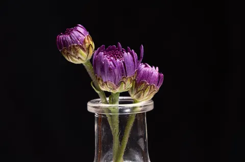 Обои Макро цветка 4K · flowers · 3840×2555
