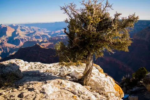 والپیپر گرند کنیون با کیفیت 4K · travel · 3840×2560
